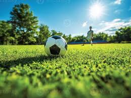 资深彩民专业分析场景